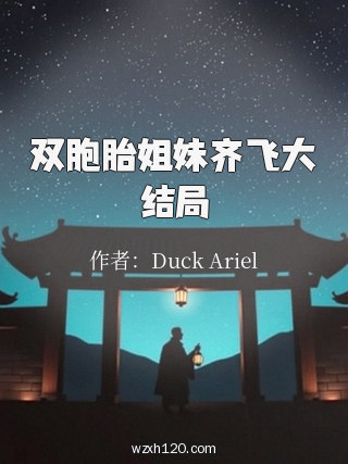 双胞胎姐妹齐飞大结局