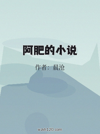 阿肥的小说