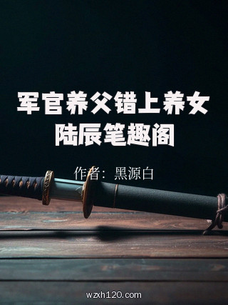 军官养父错上养女陆辰笔趣阁