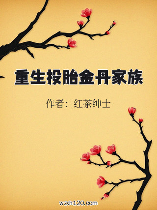 重生投胎金丹家族