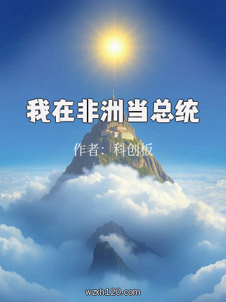 我在非洲当总统