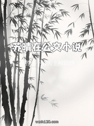 苏晴在公交小说
