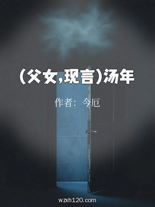 (父女,现言)汤年
