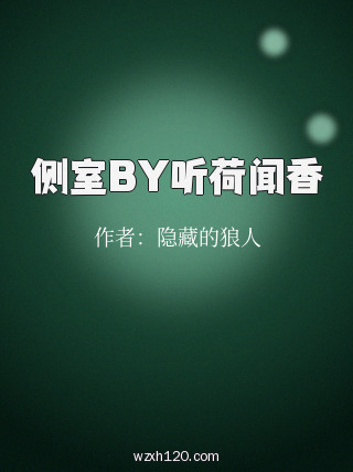 侧室BY听荷闻香