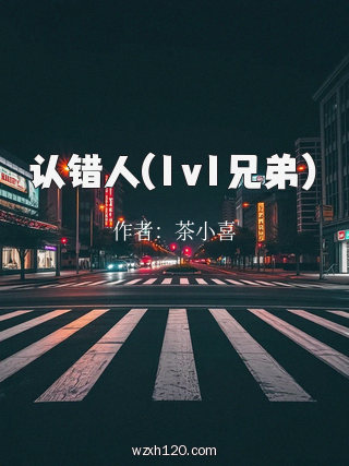 认错人(1v1兄弟)