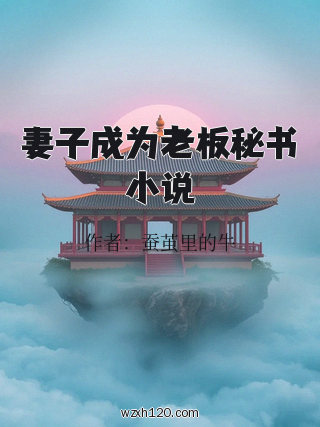 妻子成为老板秘书小说