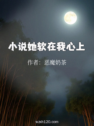 小说她软在我心上