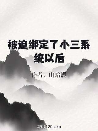 被迫绑定了小三系统以后