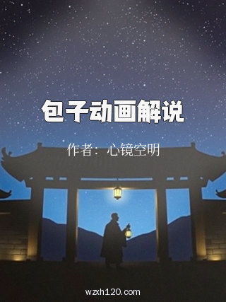 包子动画解说