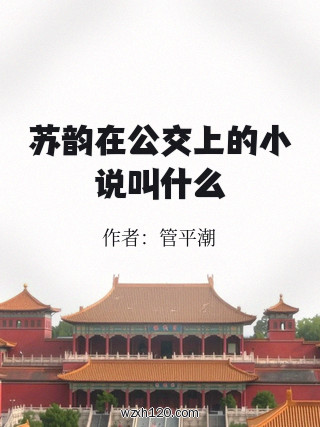苏韵在公交上的小说叫什么
