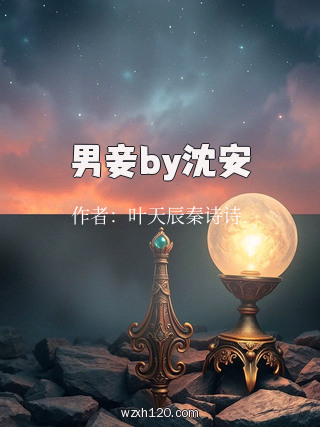 男妾by沈安