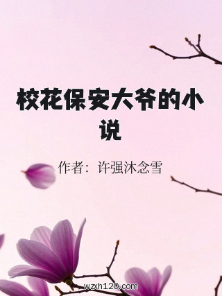校花保安大爷的小说