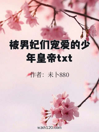 被男妃们宠爱的少年皇帝txt