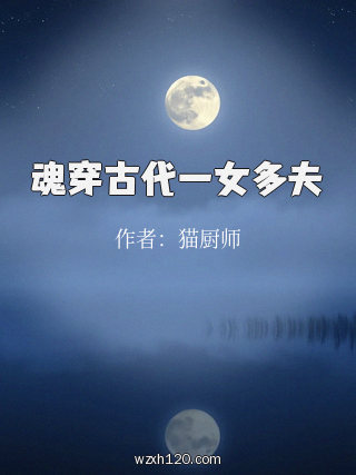 魂穿古代一女多夫