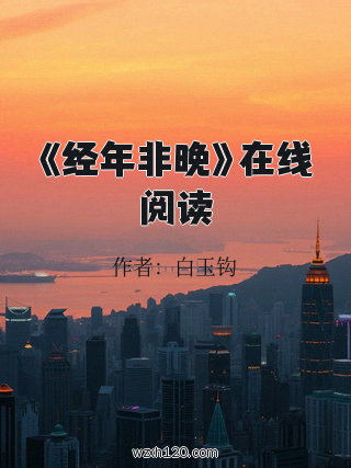 《经年非晚》在线阅读