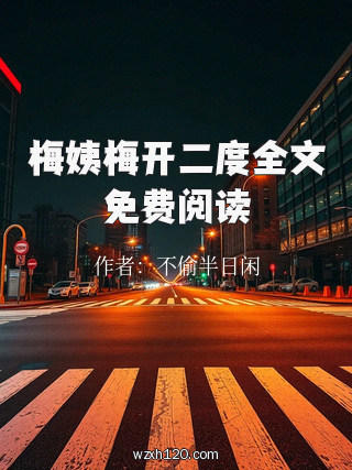 梅姨梅开二度全文免费阅读
