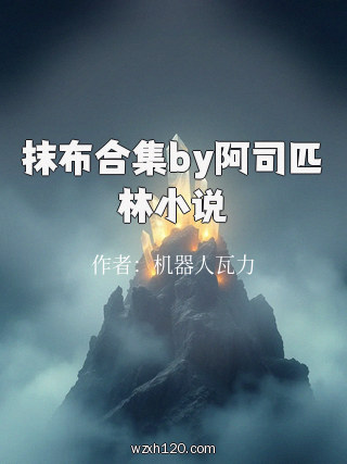 抹布合集by阿司匹林小说