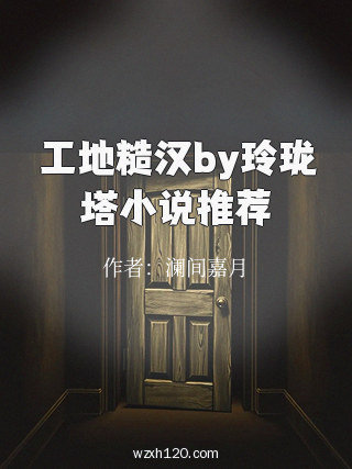 工地糙汉by玲珑塔小说推荐