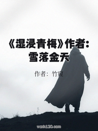 《湿浸青梅》作者:雪落金天