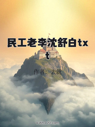 民工老李沈舒白txt