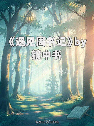 《遇见周书记》by镜中书