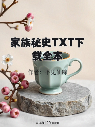 家族秘史TXT下载全本