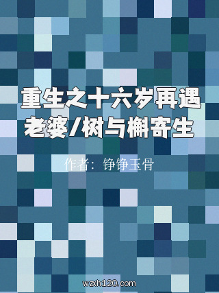 重生之十六岁再遇老婆/树与槲寄生