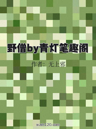 野僧by青灯笔趣阁