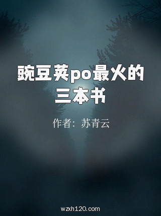 豌豆荚po最火的三本书