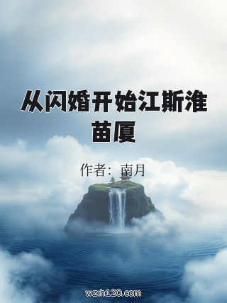 从闪婚开始江斯淮苗厦