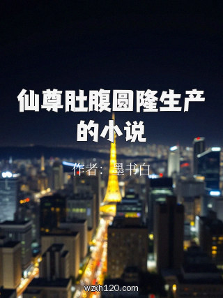 仙尊肚腹圆隆生产的小说