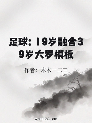 足球:19岁融合39岁大罗模板