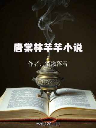 唐棠林芊芊小说
