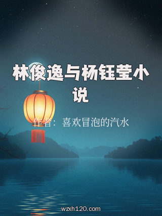 林俊逸与杨钰莹小说