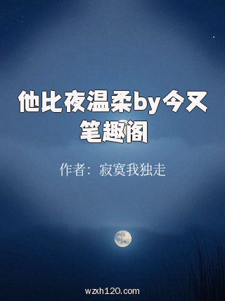 他比夜温柔by今又笔趣阁