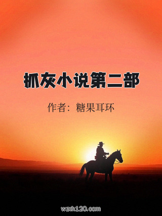 抓灰小说第二部
