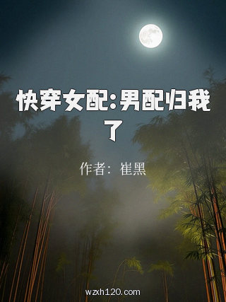 快穿女配:男配归我了