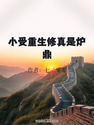 小受重生修真是炉鼎