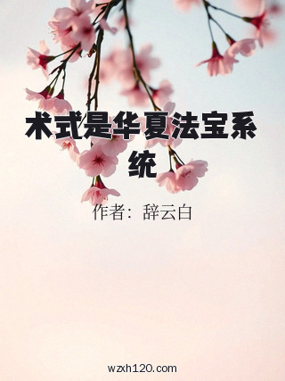 术式是华夏法宝系统