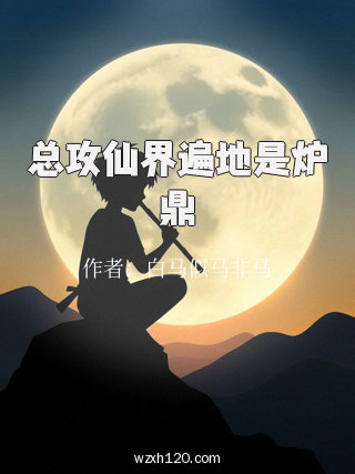 总攻仙界遍地是炉鼎