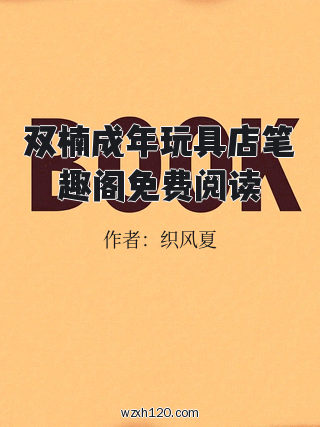 双楠成年玩具店笔趣阁免费阅读