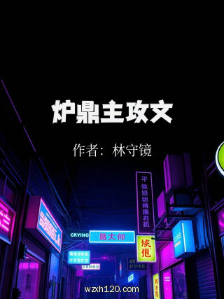 炉鼎主攻文