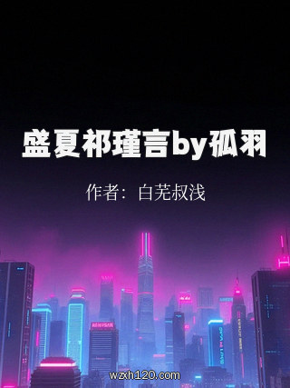 盛夏祁瑾言by孤羽