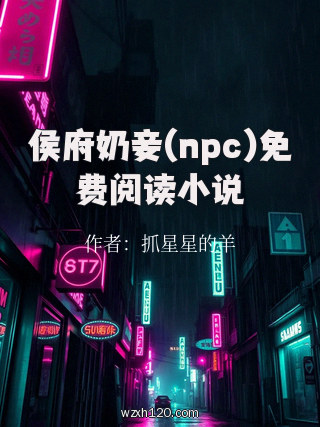 侯府奶妾(npc)免费阅读小说