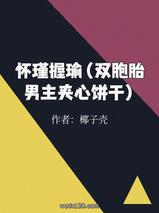 怀瑾握瑜(双胞胎男主夹心饼干)
