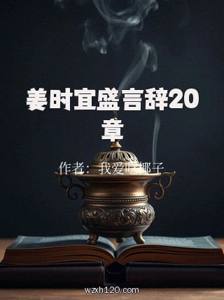 姜时宜盛言辞20章