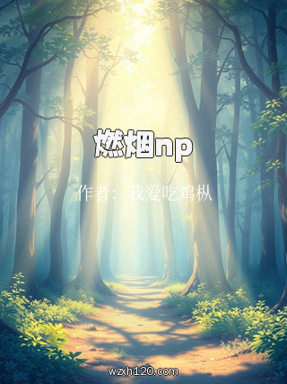 燃烟np
