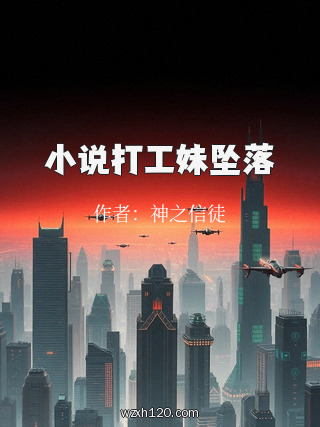小说打工妹坠落