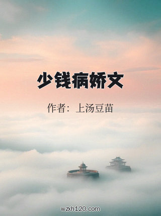 少钱病娇文