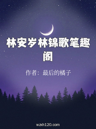 林安岁林锦歌笔趣阁